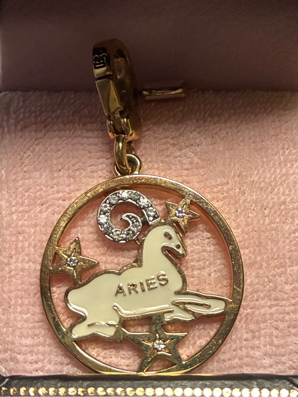 Juicy Couture Charm